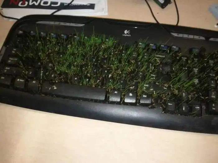 Прикольные розыгрыши