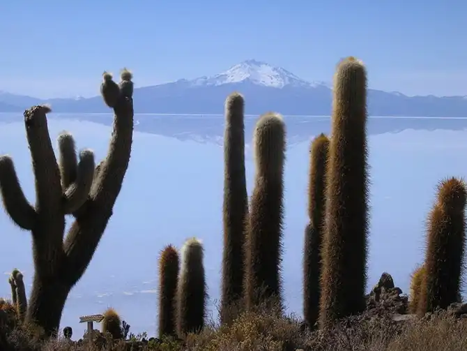 Путешествие по крупнейшей соляной пустыне мира