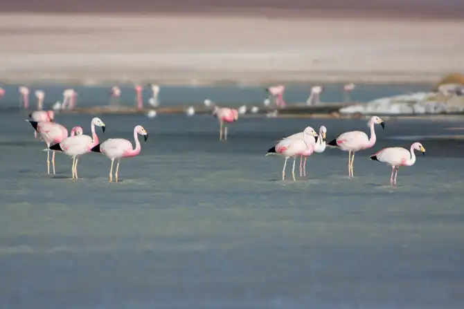 Путешествие по крупнейшей соляной пустыне мира