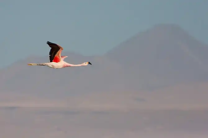 Путешествие по крупнейшей соляной пустыне мира