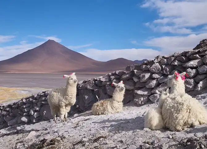 Путешествие по крупнейшей соляной пустыне мира