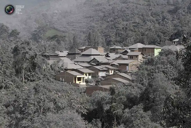 Неделя в фотографиях