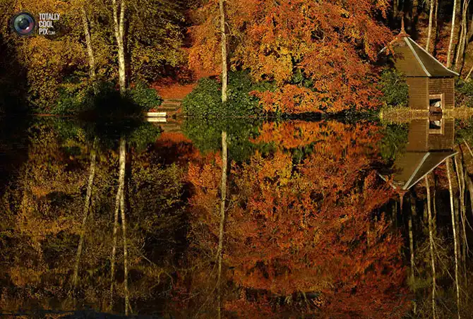 Неделя в фотографиях