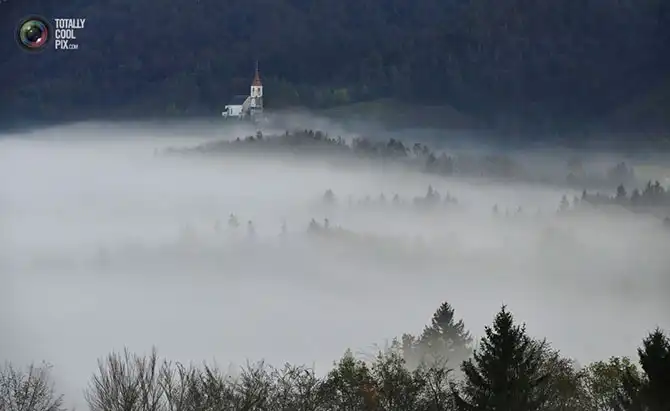 Неделя в фотографиях