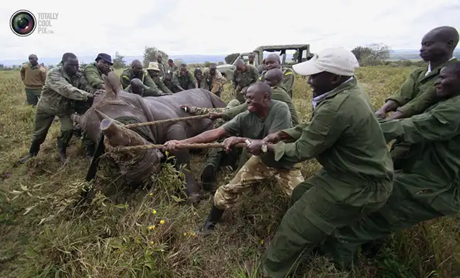 Неделя в фотографиях