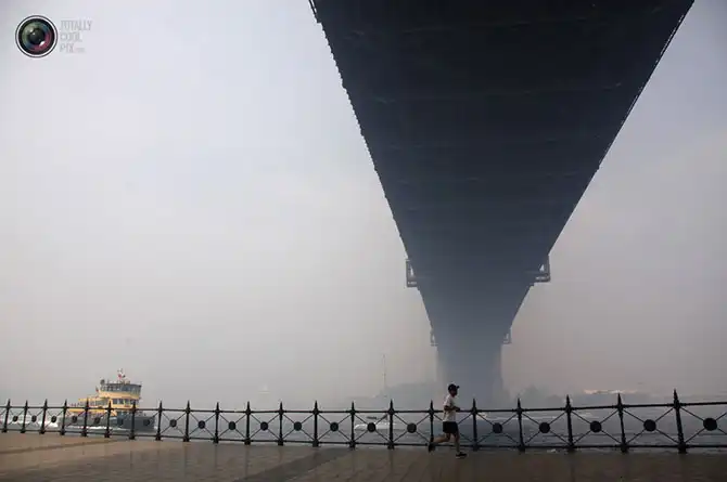 Неделя в фотографиях