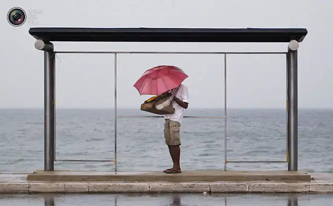 Неделя в фотографиях