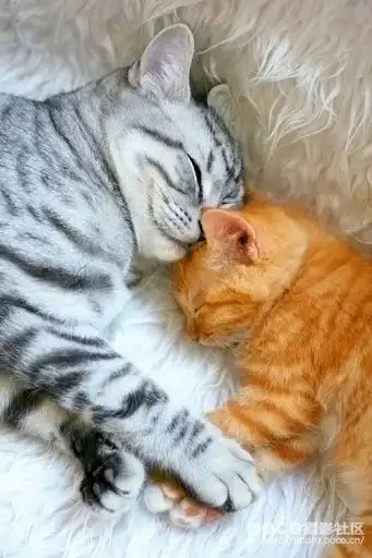 Соляночка =З