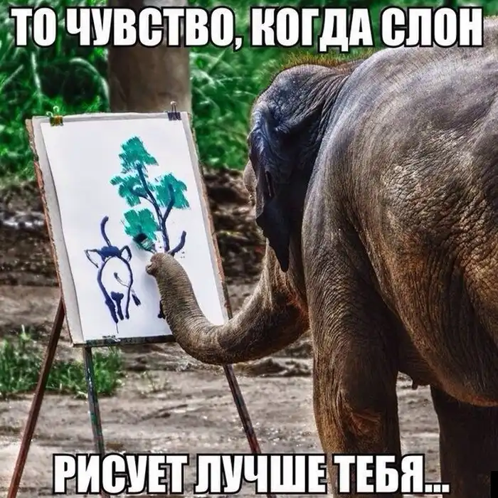 Прикольные картинки абавсём:D (14.11.13)