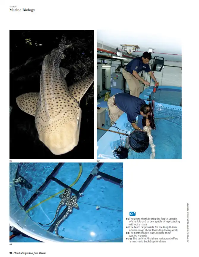 Подводный ресторан под