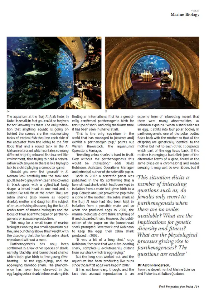 Подводный ресторан под