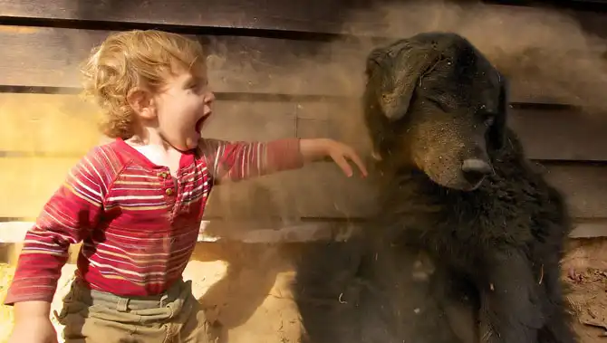 Лучшее с конкурса фотографии National Geographic 2013