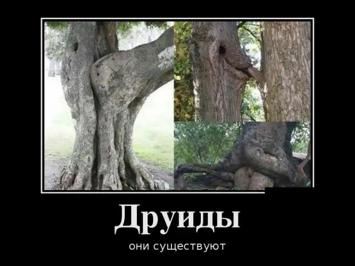 Картинки в черной рамке (18.11.13)