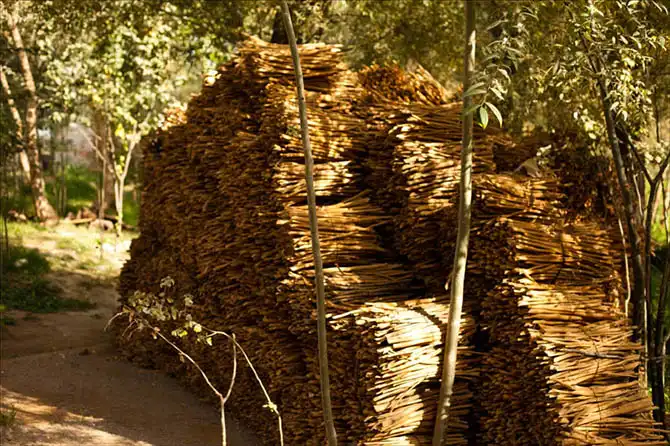 Как делают шелковую бумагу в Самарканде