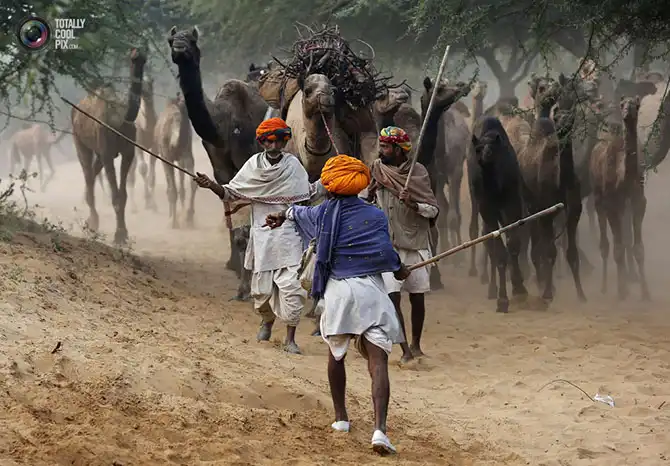 Неделя в фотографиях