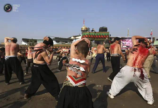 Неделя в фотографиях