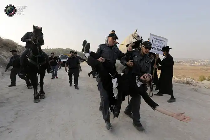 Неделя в фотографиях