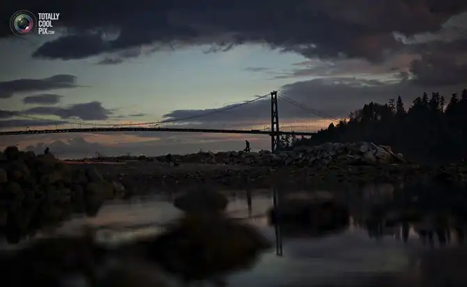 Неделя в фотографиях