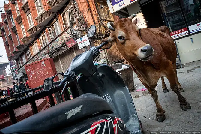 Путешествие по Непалу