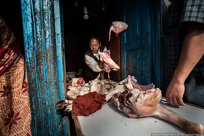 Путешествие по Непалу