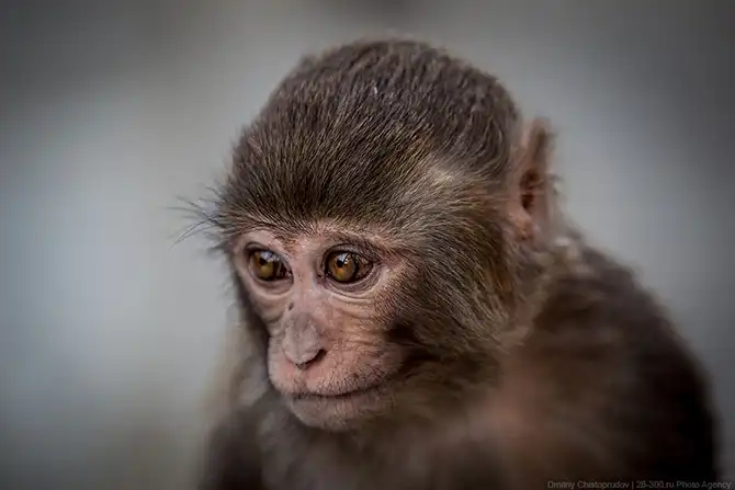 Путешествие по Непалу