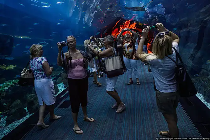 Путешествие в Дубай