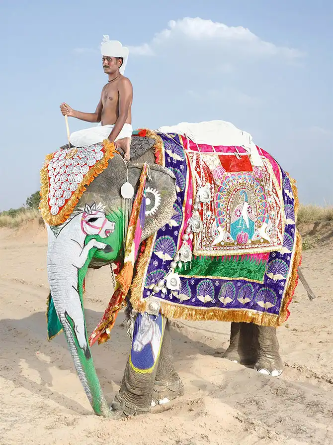 Как проходил фестиваль слонов в Джайпуре