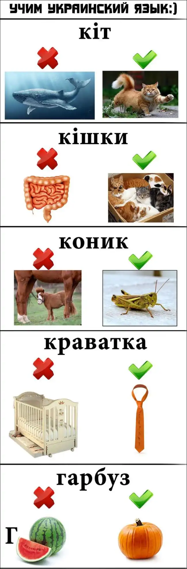 Забавные ассоциации при изучении иностранных языков