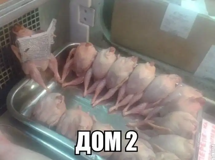 Прикольные картинки абавсём:D (22.11.13)