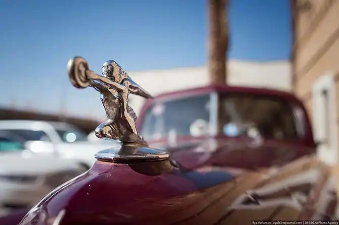 Как живут женщины в Саудовской Аравии