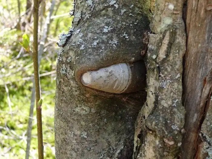 Старая военная техника против природы