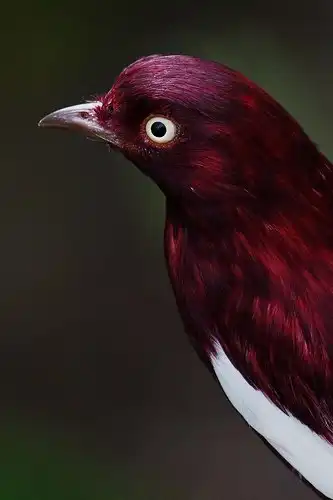 Соляночка =З