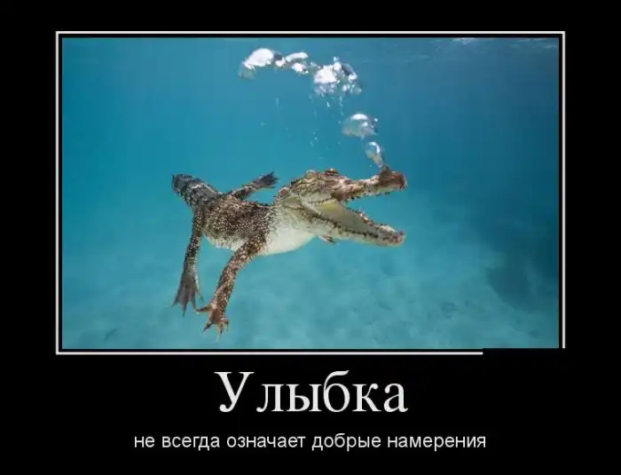 Прикольные картинки абавсём:D (26.11.13)