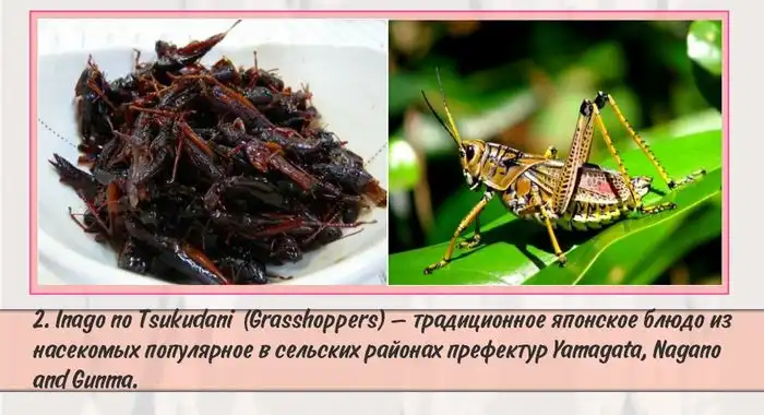 Подборка самых необычных деликатесов из Японии