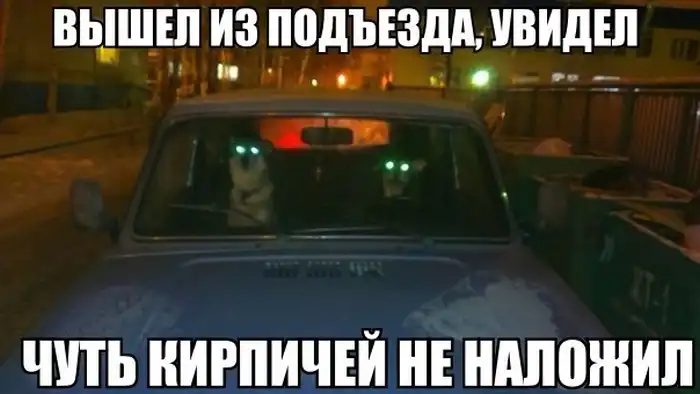 Прикольные картинки абавсём:D (26.11.13)