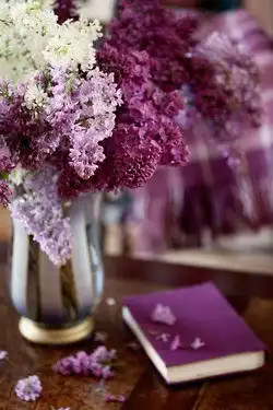 Соляночка =З