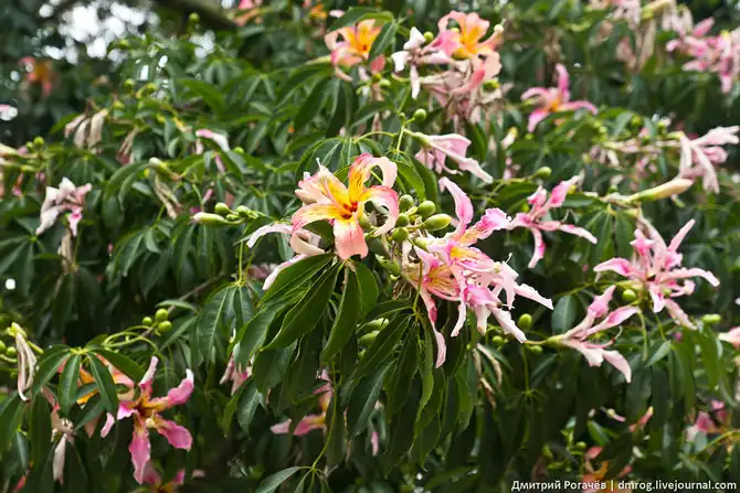 Прогулка по Валенсии