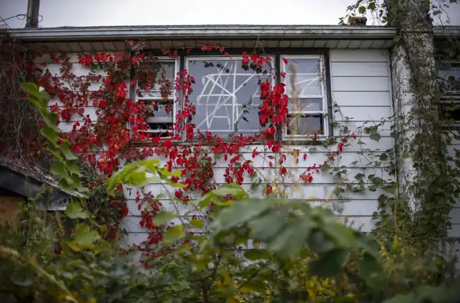 Последствия урагана «Сэнди» год спустя