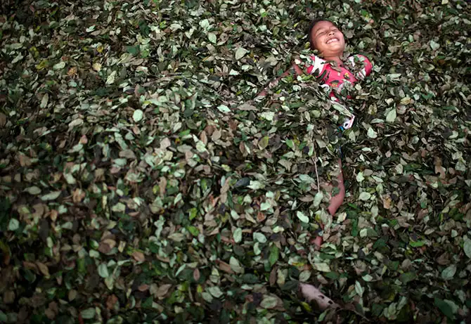 Жизнь в Перу