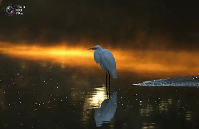 Неделя в фотографиях