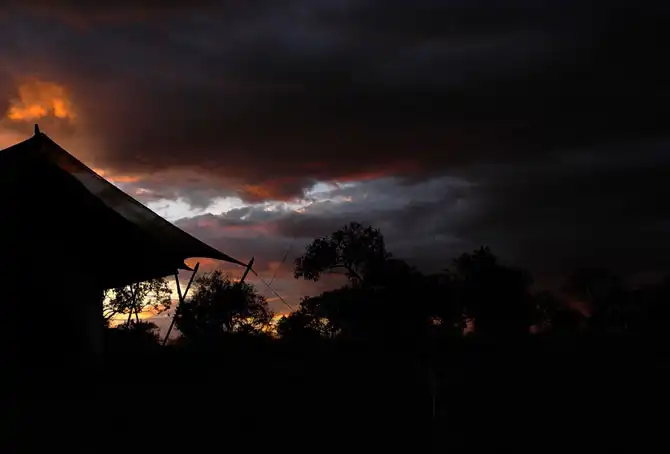 Сафари в Кении и Танзании