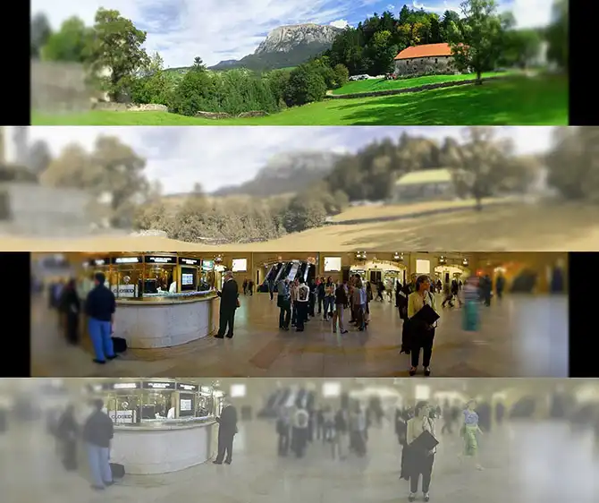 Фотографии, которые потрясли мир в 2013 году