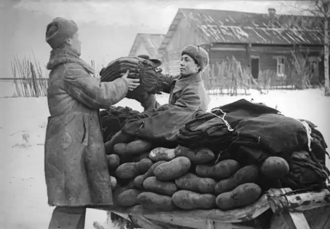 7 главных фактов о валенках