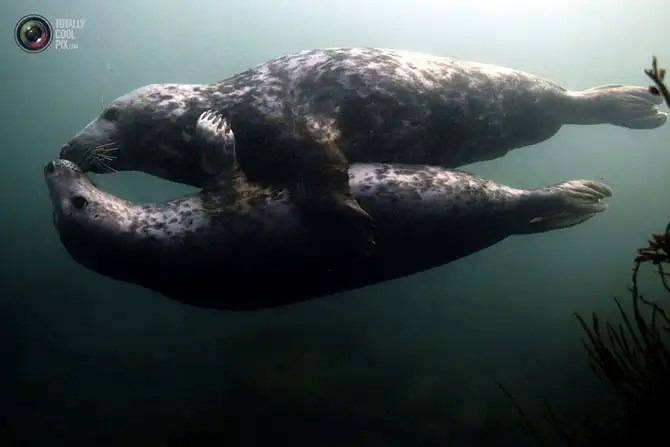 Неделя в фотографиях