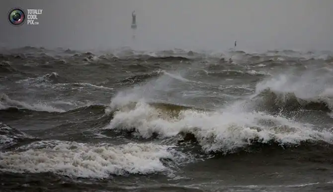 Неделя в фотографиях