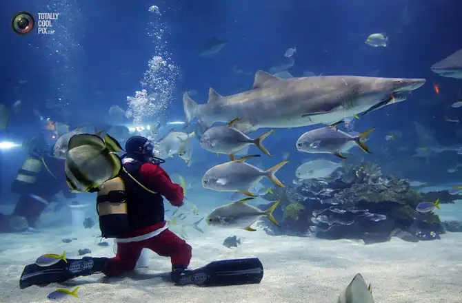 Неделя в фотографиях