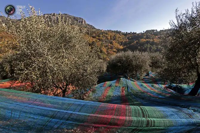 Неделя в фотографиях