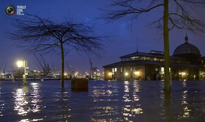 Неделя в фотографиях