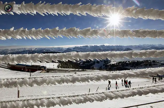 Неделя в фотографиях