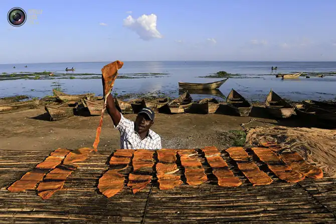 Неделя в фотографиях